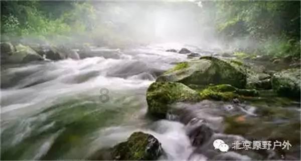 救援受困的鬃狼